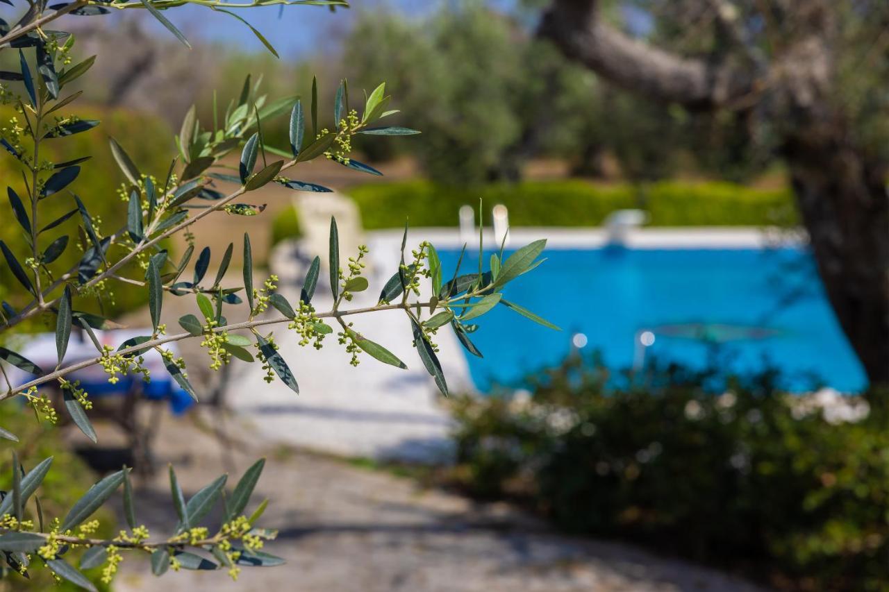 Bed and Breakfast Casa Ulmi Con Piscina Uggiano La Chiesa Zewnętrze zdjęcie